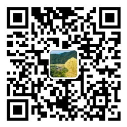 彩神彩票首页登录